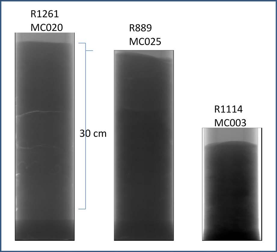 XRI-bildene av sedimentkjerner fra R1261MC2, R889MC25 og 1114MC3 er vist i Figur 25. Det er stor forskjell i lengdene på sedimentkjernene p.g.a. forskjell i sedimentsammensetning.