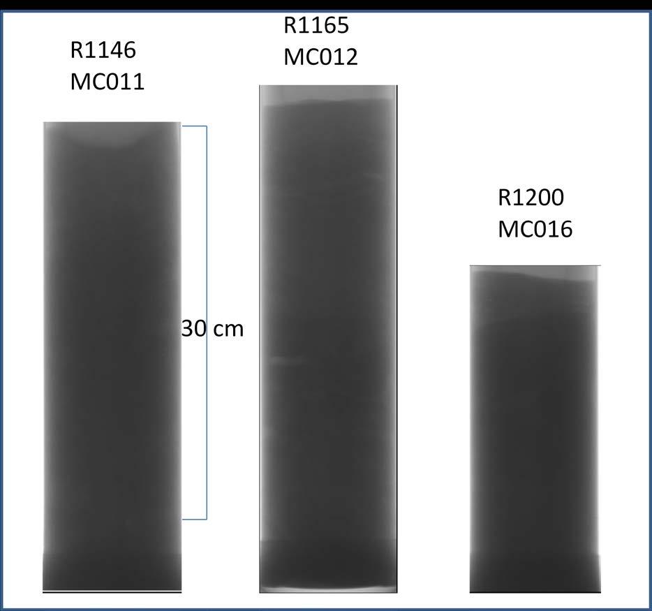 Eksempler på sedimentkjerner fra TOO er vist i Figur 26. R1146MC11 lengst til venstre har en ujevn overflate og ellers homogene sedimenter uten særlige variasjoner i kjernen.
