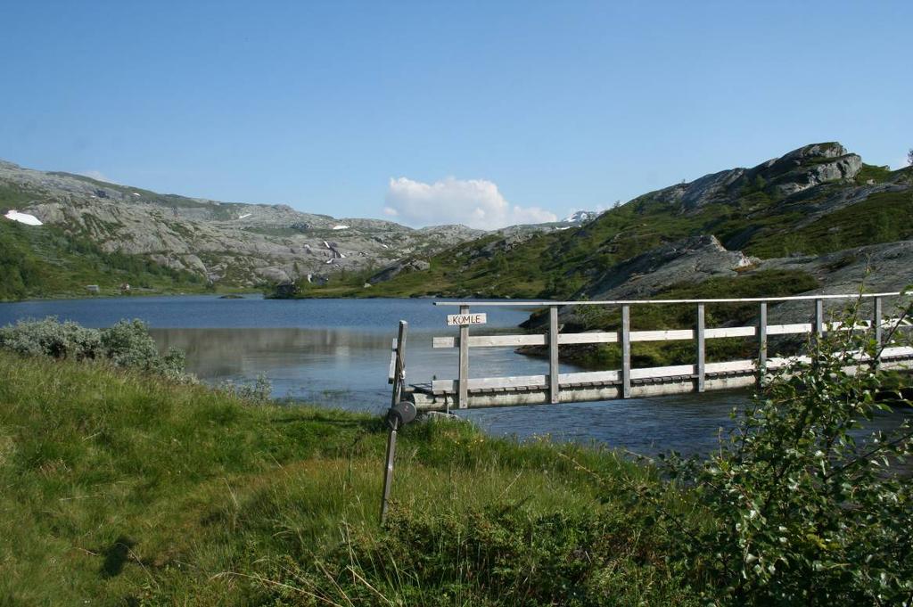 Ecofact AS Side 4 Anleggsveien skal kun brukes i anleggstiden og planlegges revegetert. Denne må være kjøresterk slik at den kan benyttes for tilsynsformål med f. eks. ATV.