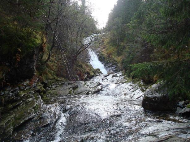 Det er mulig for fisk å vandre 80 meter opp i elven fra Evangervatnet, men etter 60 meter er det et vandringshinder som bare stor fisk kan passere, ovenfor dette vandringshinderet er bunnsubstratet