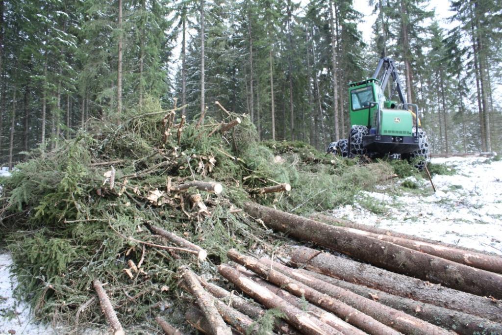 Økologiske virkninger av økt biomasseuttak fra skog i Norge Toril D.