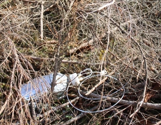 Kjønaas, Skog og landskap Foto: L.