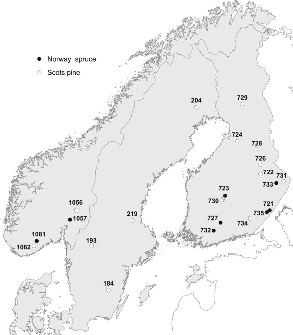 Nordisk serie etablert på 80-tallet > Tynningsforsøk > Med og uten uttak av GROT > Med og uten