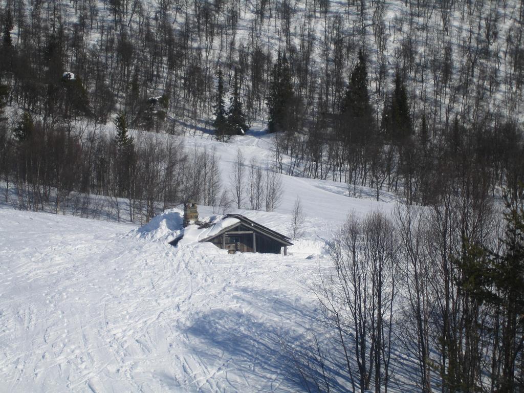 Her produseres langrennsløyper så snart kuldegraden biter seg fast om høsten. Det betyr som regel at det er mulig å gå på ski allerede i månedskiftet oktobernovember.
