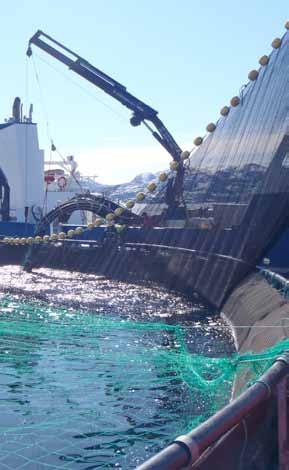 RØMMING Forebygging av rømming er et svært viktig og høyt prioritert område i Lerøy Seafood Group.