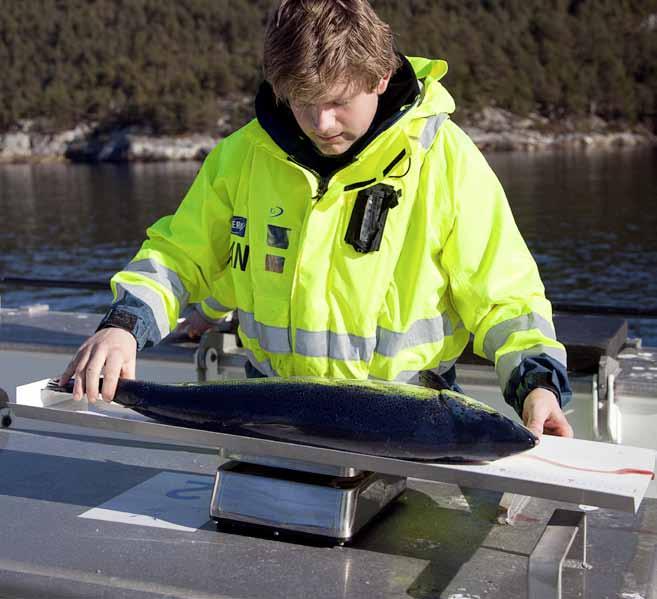 Utslipp av klimagasser Nedenfor følger en kort oppsummering av rammeverk og antagelsene som er gjort i forbindelse med kalkulasjoner av klima-gassutslipp for Lerøy Seafood Group i 2012.