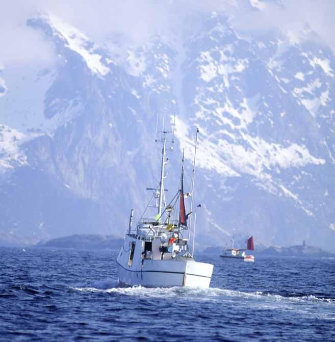 personalkostnader 11/14 1 031 872 967 789 Andre driftskostnader 853 884 858 107 Driftsresultat før avskrivinger og verdijustering av biologiske eiendeler (EBITDA) 774 866 1 484 797 Avskrivninger 2/3