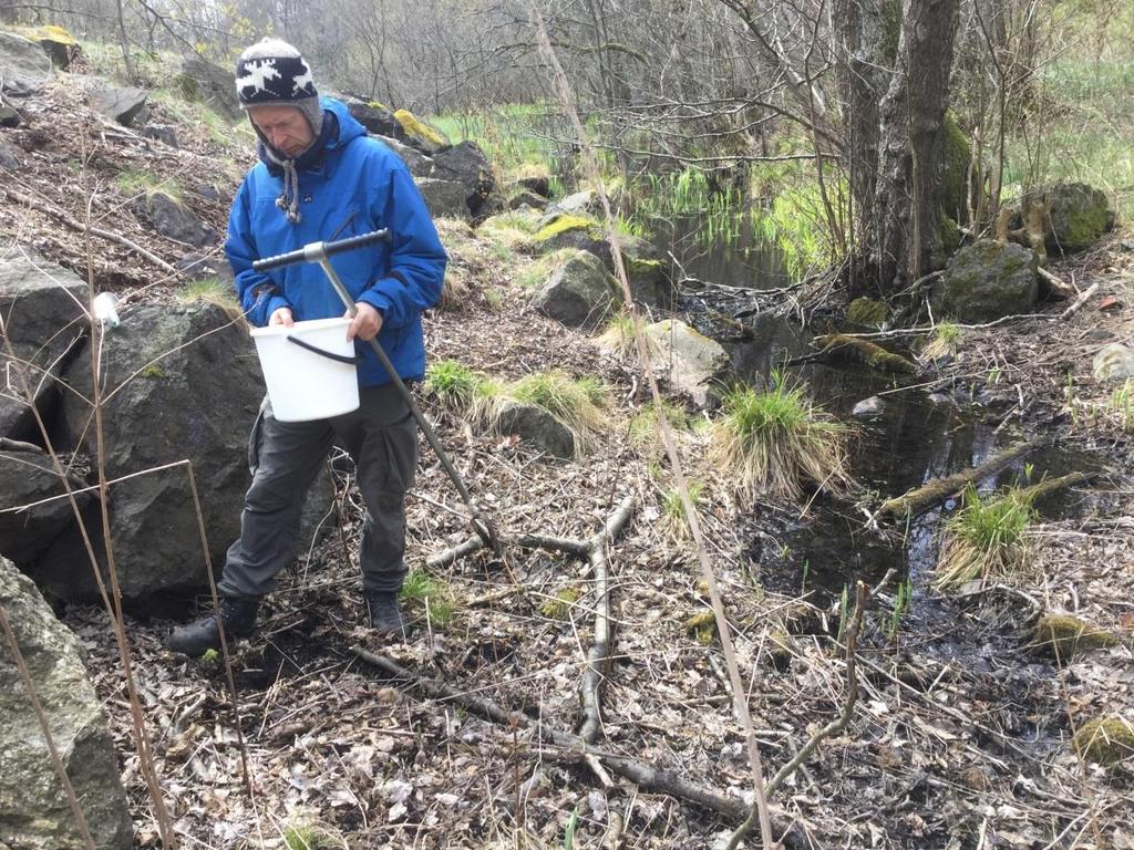 3.2 LOKALITET 10: MASTEDAMMEN NORD (ØSTØYA), FG NR 110070101, KLIF ID 0701024 Lokaliteten er et område som ligger rett nedstrøms et gammelt deponi (Mastedammen deponi).