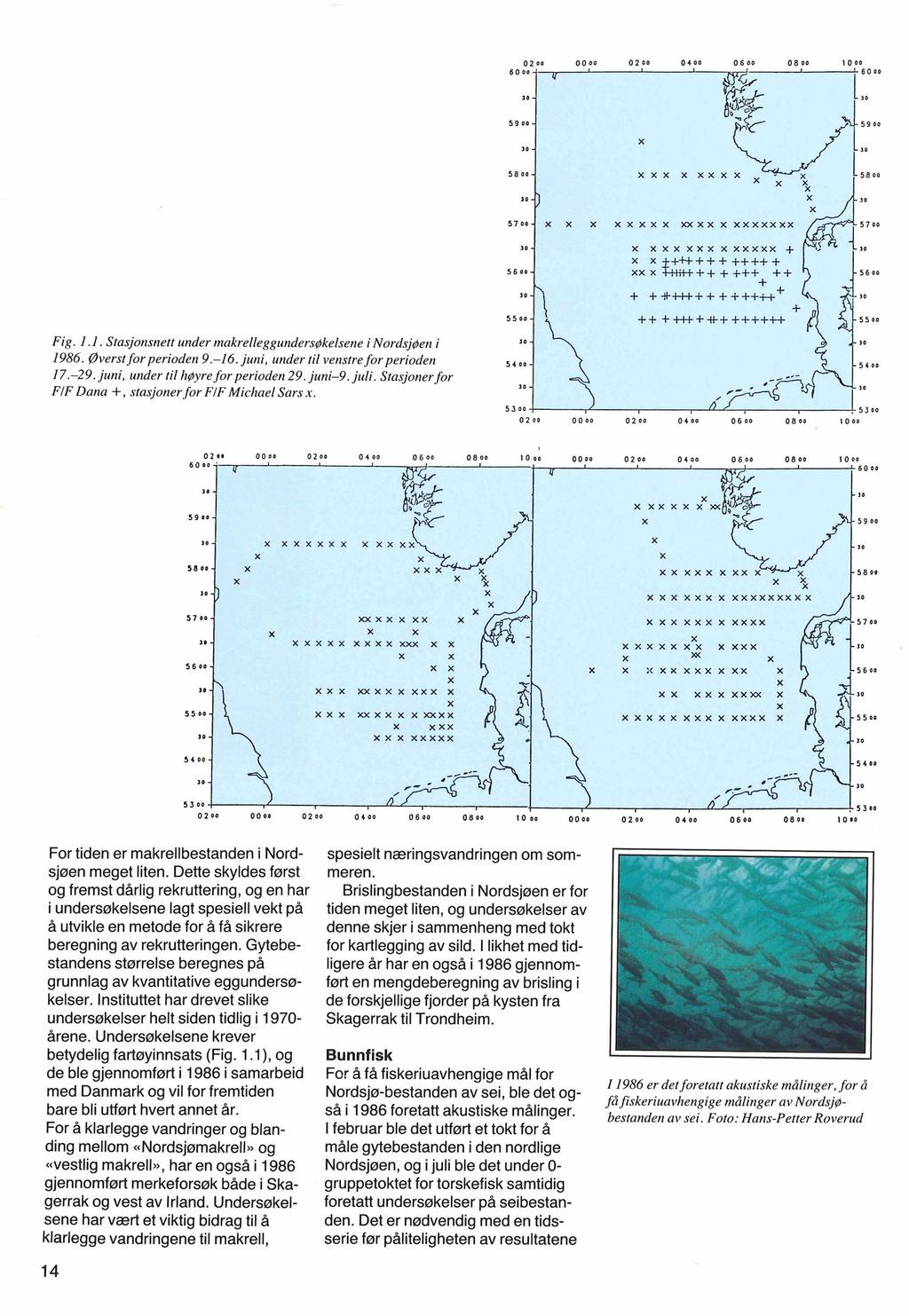 "G.--/ x x x x x x x x x x" Fig. 1.l. Stasjonsnett under makrelleggundersøkelsene i NordsjØen i 1986. Øverst for perioden 9.-16. juni, under til venstre for perioden 17.-29.