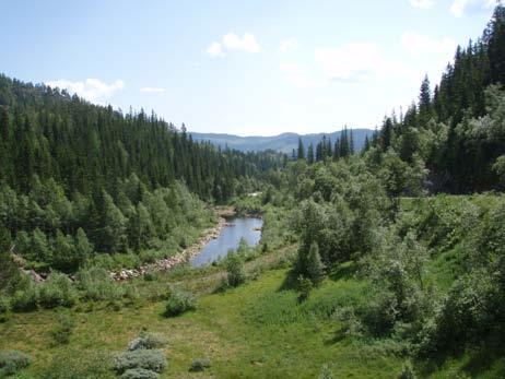 Det er en større demning helt sør i vannet, og denne dannet den vestligste delen av planområdet. Her er det påfylte masser.