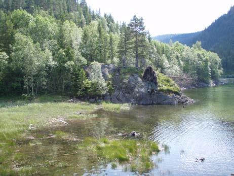 Videre nordover langs østsiden av vannet strekker det seg en et større torv- og myrområde.