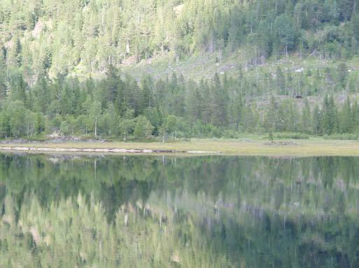 Strategi og metode Hovedfokuset for registreringen var knyttet til synlige spor fra jern- og middelalder, blant annet etter jern- og kullfremstilling langs vannkanten, men også hustufter, gravminner,