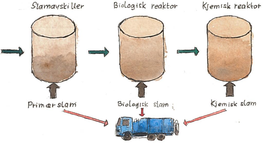 SLAMPRODUKSJON I MINIRENSEANLEGG 5 1 Innledning For at avløpsanleggene skal opprettholde sin funksjon er det avgjørende at slam som blir produsert også blir fjernet med jevne mellomrom.