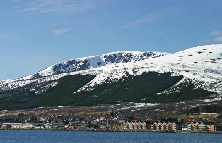 Bøndene og fugler gode venner Det er godt kjent at mange bønder vet hvor reiret til vipa eller tjelden ligger når våronna starter.