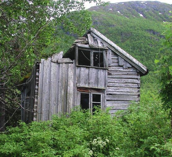 Dette kan ha sammenheng med økt optimisme i landbruksnæringen i Vesterålen etter Stortingsvalget i 2005, og viser at slike landskapsprosesser i kulturlandskapet langt fra trenger å være statiske.