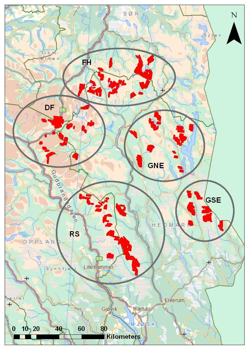 Fordeling av ryper habitat seleksjon Kyllinger som overlever inngår i hekkebestanden Kull oppløses sent på høsten.