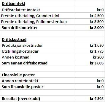 11 ØKONOMI Vi i Alltid Tørr har gjennomført en strukturert økonomisk planlegging og styring, og til enhver tid holdt en god oversikt over det finansielle i bedriften.