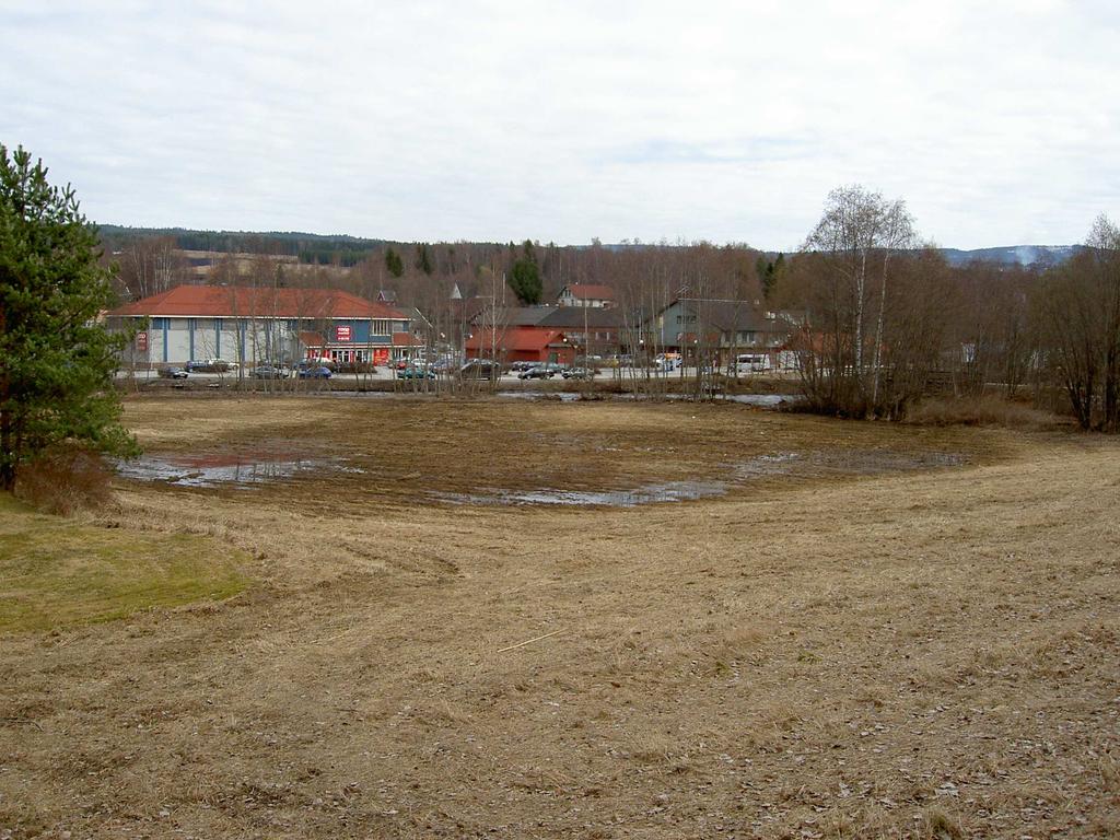 Det anbefales derfor at det ikke reguleres inn ny adkomstveg som forutsetter bruk av ekspropriasjon for å gjennomføre tiltaket.