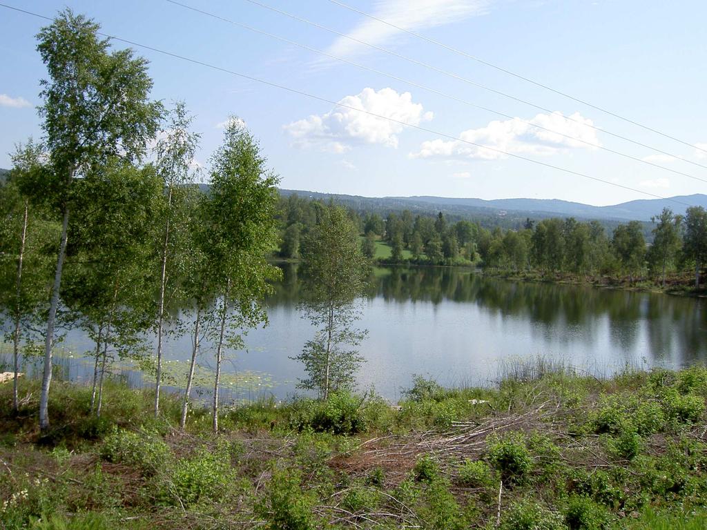 planområdet, mens en eiendom sør for Skjerva er tatt inn i planområdet etter ønske fra Oppland fylkeskommune, kulturvern.