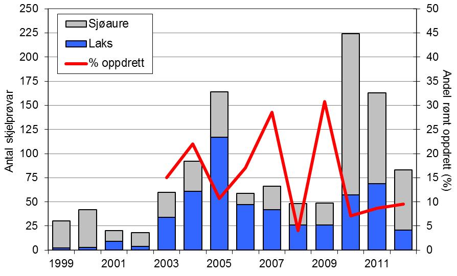 Etter at villaksen har vore freda sidan tidleg på 1990-talet, vart det opna for ordinært fiske i 2003. I 2012 vart det fanga 31 laks.