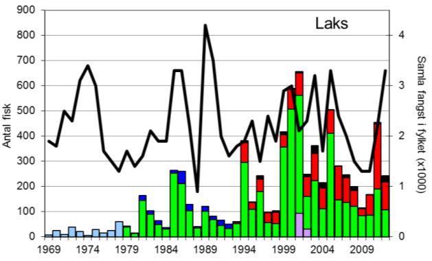 FANGST OG SKJELPRØVAR I OSELVA Gjennomsnittleg fangst av laks i perioden 1969-2012 er 168 (snittvekt 2,5 kg).