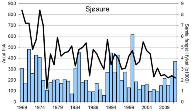 I 2012 vart det registrert ein laksefangst på 76 (figur 1, stolpar), av desse vart 57 sette ut att. Gjennomsnittleg fangst av sjøaure i perioden 1969-2012 har vore 225 per år (snittvekt 1,5 kg).