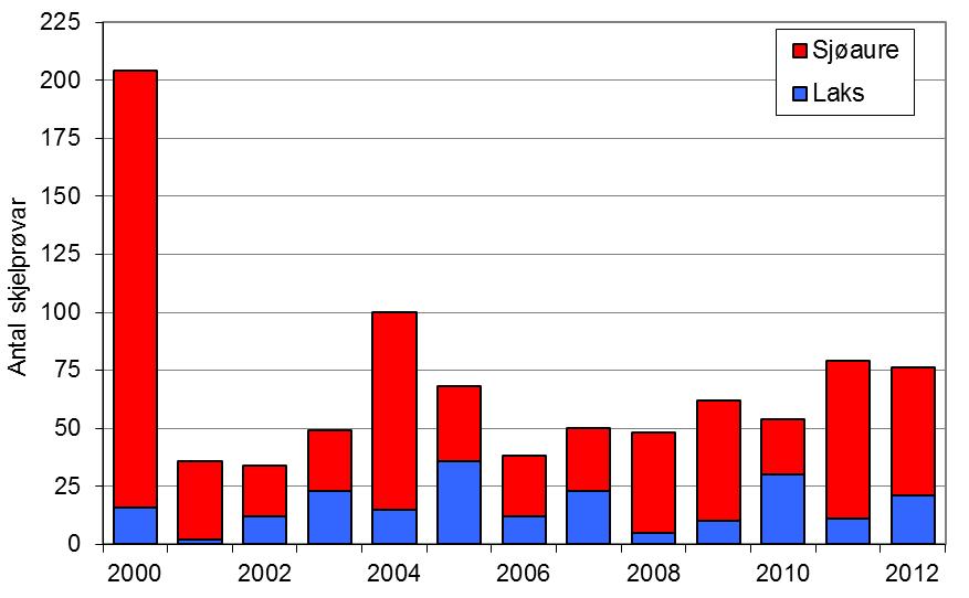 Sjøaurefangstane har vore låge dei siste 11 åra, men det er har vore ein tendens til auka fangstar dei siste åra, og fangsten i 2012 er den beste sidan 2000.