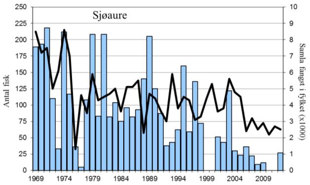 Med unntak av i 2003 har fangstane av sjøaure etter år 2000 vore mellom dei dårlegaste som er registrert.