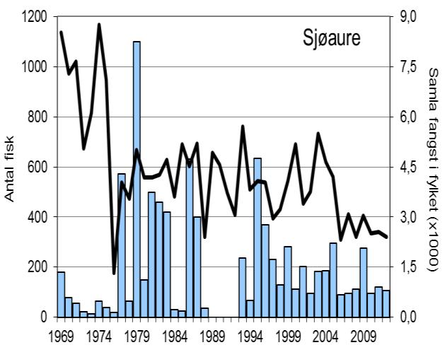 Fangsten i 2011, på 354 laks, er den klart høgaste som er registrert, fangsten i 2012 (266 laks, snittvekt 3,8 kg) er den nest høgaste.