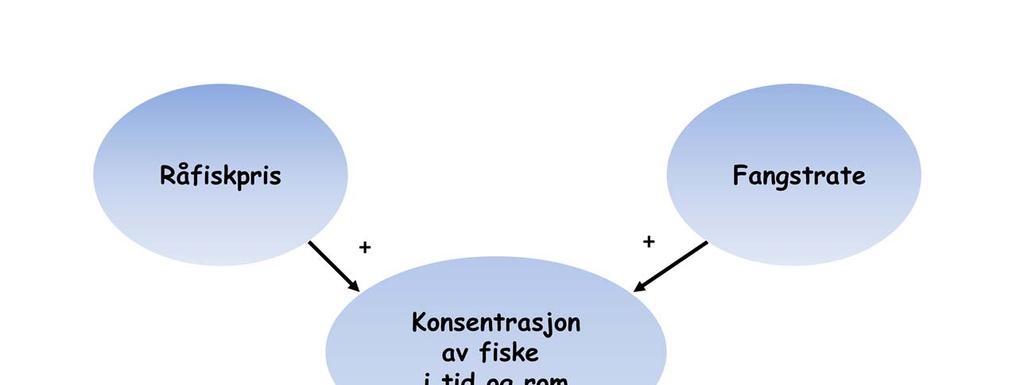 Det er kanskje en av de viktigste årsakene til at problemene ble så omfattende.