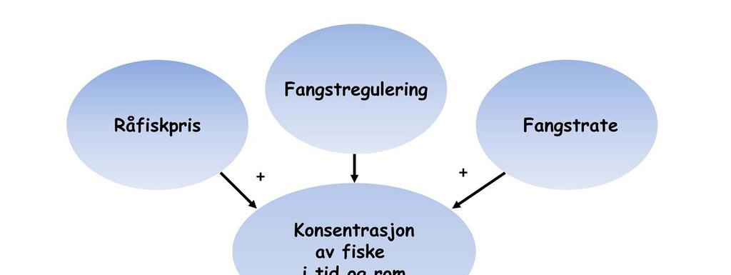 Det er kanskje en av de viktigste årsakene til at problemene ble så omfattende.