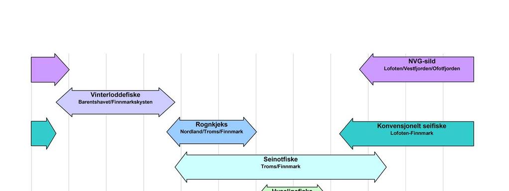 Denne figuren illustrerer når et slikt sesongfiskeri foregår på de viktigste bestandene i den norske fiskeflåten.