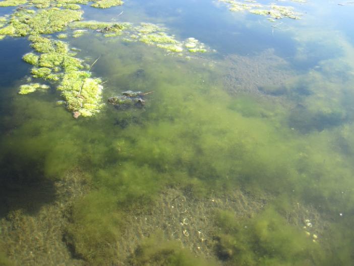 Høy bunnfriksjon i sommerhalvåret vil trolig ytterligere