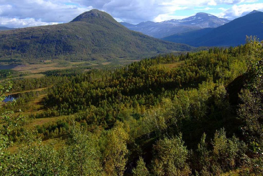 Melkevatn Hjertvatn Børsvatn (Steigen, Nordland) Utsikt innover mot Melkevatnet fra lia