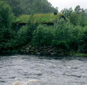 Både innsjøer, bekker og elv Det var ikke bare laksen som hadde problemer med surt vann. På slutten av 80-tallet sviktet rekrutteringen også i flere fjellvann.