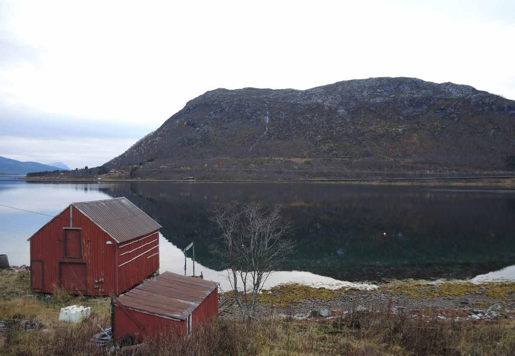 Fiskefjorden inngår i landskapstypen Storskala fjordlandskap med bratte