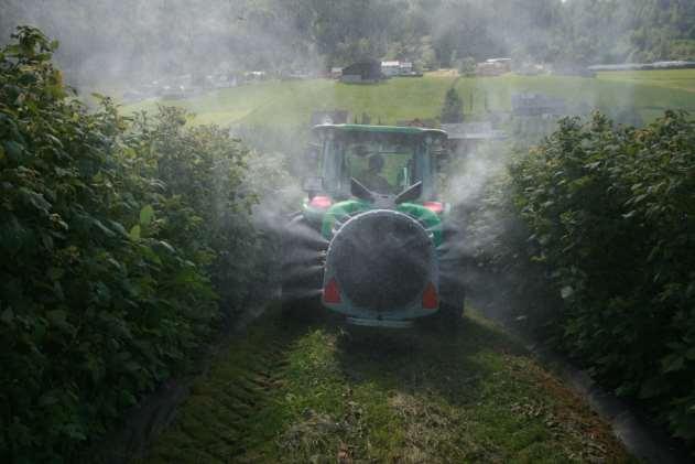 Luftassistert sprøyting: Betre dekning inne i hekkane, - gjev betre biologisk verknad?