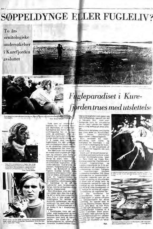 Helsides reportasje om de truete naturverdiene og det ornitologiske registreringsarbeidet i Kurefjorden i Moss Dagblad lørdag 11.11.1972. Foto: Viggo Ree. veien til Åvenøya.