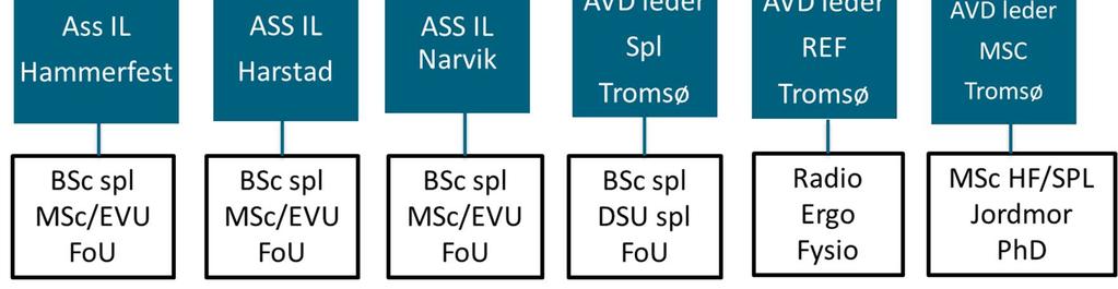 Vi vurderer om det bør fremmes sak til Det helsevitenskapelige fakultet hvor dette problematiseres og evt komme med forslag til løsning.