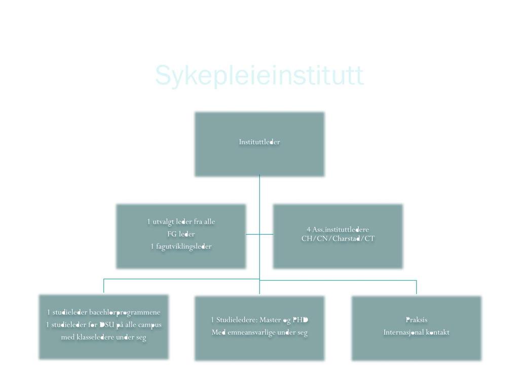 Sykep l ei ei n sti tu tt Instituttleder 1 utvalgt leder fra alle FG leder 1 fagutviklingsleder 4 Ass.