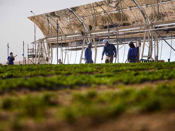 6. Sahara Forest Project Sahara Forest Project er en nyskapende og konkret løsning på energi-, vann- og matutfordringene og basert på prinsippet om en «trippel bunnlinje».