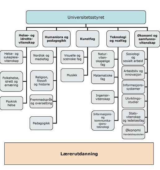 Figur 7: Faglig organisering