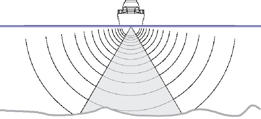 11 StructureScan StructureScan bruker høye frekvenser for å gi et fotolignende bilde av havbunnen med høy oppløsning. Enheten har innebygd StructureScan.