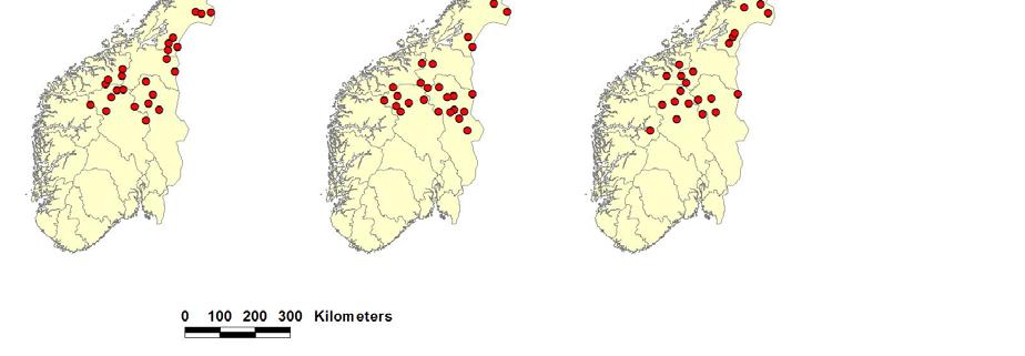 75 Antall registrerte ynglinger av jerv 50 25 3 5 44 42 4 58 8 49 11 40 0 2003 2004 2005 2006 2007 Årstall Figur 3. Minimum antall ynglinger av jerv i Norge i perioden 2003-2007.