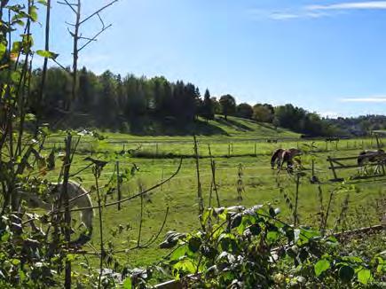 1 Beskrivelse og verdivurdering Kategori: Gårdstun Avgrensning Miljøet avgrenses på bakgrunn av opplevelsen av landskapsrommet som et helhetlig kulturlandskap med tilhørende fornminner i landskapet.