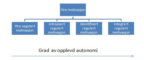 aktivitetsnivå og opplevd reduksjon av symptomer. På den andre side var ytre regulert motivasjon negativt og signifikant korrelert med fysisk aktivitetsnivå.