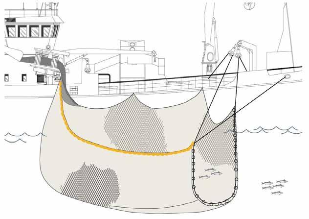 Etter hvert som makrell-, sild- og loddefartøyene som fisker med not har blitt stadig større, har omfanget av låssetting avtatt.