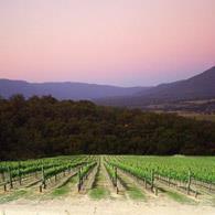 Jordsmonn og klima Soil The topography of the Yarra Valley varies enormously and accordingly the region encompasses a wide range of soil types.