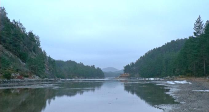 5 Resultat 5.1 Område 1 Selevik - Dåfjorden Areala inst i Nordre Dåfjord er i hovudsak urørte område som dominerast av vegetasjon av lyngartar, barskog og stadvis lauvskog.