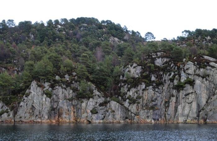 Geitaneset - Selevik - Svartasmoget Geitaneset og Fiskarneset er konsentrerte bustadfelt.